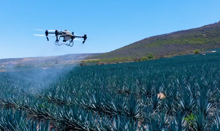 Dron agrícola operando sobre cultivo de agave